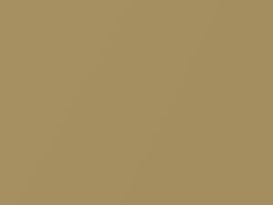 Giallo Sinai Metallic touch-up paint for Fiat Panda, code 560A, 2006