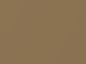 Bronze Gold Metallic touch-up paint for Nissan Frontier, code C20, 2005