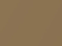 Bronze Gold Metallic touch-up paint for Nissan Frontier, code C20, 2005