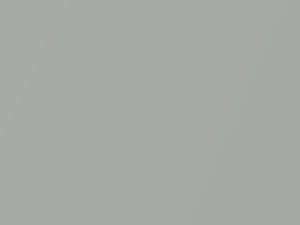 Platinum Silver Mica touch-up paint for Hyundai Satellite, code 5S, 2007