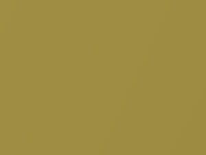 Sublime Metallic touch-up paint for Toyota, code 589, 2003