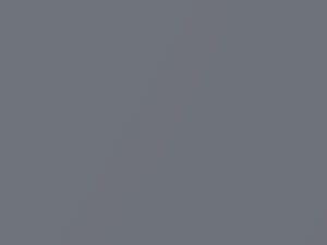 Medium Gray Metallic touch-up paint for Toyota, code 1A3, U1A3, 2005