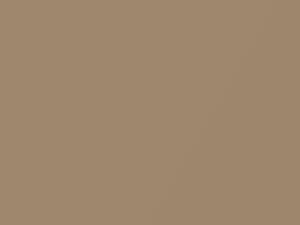 Champagne Metallic touch-up paint for Volvo C70, code 425, 1999