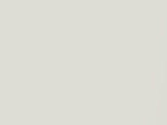 Aspen White Pearl touch-up paint for Honda, code NH677P, 2016