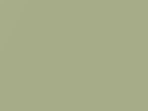 Premium Yellow Green Metallic touch-up paint for Lexus SC430, code 6U8, 2006