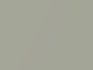 Champagne Metallic touch-up paint for Daihatsu, code T17, 2005