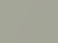 Champagne Metallic touch-up paint for Daihatsu, code T17, 2005