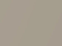 Blond Gray Metallic touch-up paint for Isuzu, code 704, N109, N109P901-0, 2003