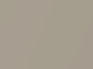 Blond Gray Metallic touch-up paint for Isuzu, code 704, N109, N109P901-0, 2003