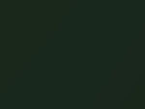 Green Metallic touch-up paint for Toyota, code 6W3, 2016