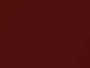 Sunset Metallic touch-up paint for Ford, code 2FN, FSQ, 2016