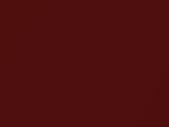 Sunset Metallic touch-up paint for Ford, code 2FN, FSQ, 2016
