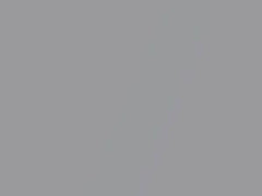 Audi Lotus Gray Metallic touch up paint 2Z 2017 All Models