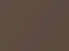 Medium Bronze Pearl touch-up paint for Dodge Ram Pickup, code PTL, XTL, 2000