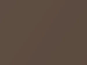 Medium Bronze Pearl touch-up paint for Dodge Ram Pickup, code PTL, XTL, 2000