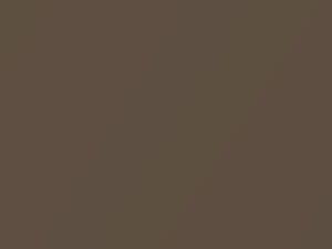 Woodland Brown Metallic touch-up paint for Jeep Cherokee, code PU2, 2002
