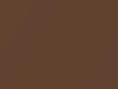 Burnished Glow Metallic touch-up paint for Ford, code 732, CTSC, CTSCWWA, NT, 2018