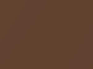 Burnished Glow Metallic touch-up paint for Ford B-Max, code 732, CTSC, CTSCWWA, NT, 2016