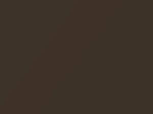 Chestnut Pearl touch-up paint for Toyota, code 4Q7, 2005