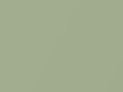 Jasper Mica touch-up paint for Toyota, code 6U6, 2019