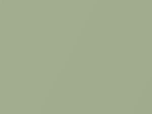 Jasper Mica touch-up paint for Toyota, code 6U6, 2019