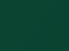 Grabber Green Metallic touch-up paint for Ford Focus, code 7053, F5, M7053A, 2003
