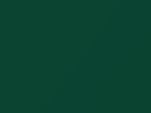 Grabber Green Metallic touch-up paint for Ford Focus, code 7053, F5, M7053A, 2003
