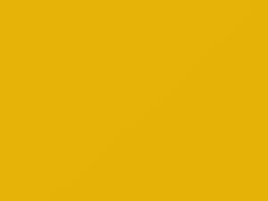 Service Master Yellow touch-up paint for Ford, code DT520, MX7081238, 2020
