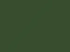 Volkswagen Reseda Green touch up paint 9623 2020 Golf