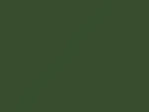 Volkswagen Reseda Green touch up paint 9623 2019 Golf