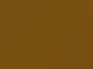 Volkswagen Curry Yellow touch up paint 9184 2020 All Models