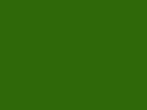 Volkswagen Cliff Green touch up paint 9621 2020 All Models