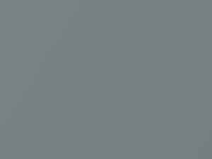 Medium Silver Metallic touch-up paint for Toyota, code 1F8, 2007