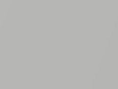 Mercedes-Benz Marco Polo Brilliant Silver Metallic touch up paint 744 2015 PoloMarco