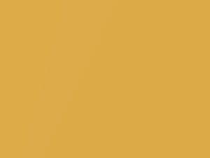 Honey Bee Metallic touch-up paint for Kia, code B2Y, 2020