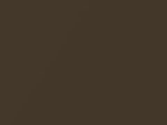 Woodland Bronze Metallic touch-up paint for Nissan, code C21, 2006