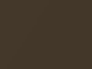 Woodland Bronze Metallic touch-up paint for Nissan, code C21, 2006