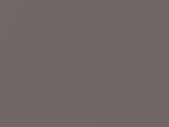 Thunder Gray Metallic touch-up paint for Toyota, code 1C7, 1998
