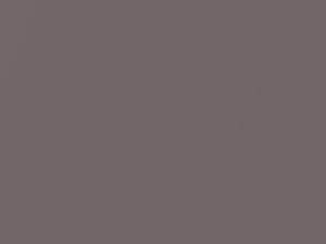 Thunder Gray Metallic touch-up paint for Toyota, code 1C7, 1998
