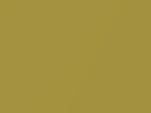 BMW Austin Gelb Metallic touch up paint B67 2020 M4