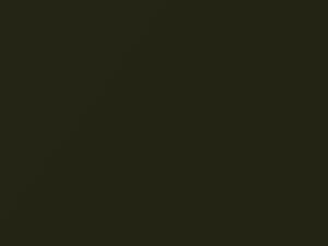 Mercedes-Benz Designo Olive Pearl touch up paint 255 2019 All Models