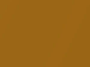 Luxe Yellow Metallic touch-up paint for Ford Ecosport, code 761, JFSE, JFSEWHA, 2021
