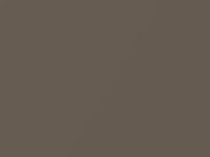 Diffused Silver Metallic touch-up paint for Ford Transit Connect, code 0F8, 2FW + alternatives, 2019