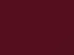 Volkswagen Golf R Raspberry Red touch up paint 9348 2018 RGolf