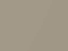 Silky Beige Metallic touch-up paint for Kia, code D3, 2008