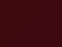 San Marino Red touch-up paint for Honda Brio, code R94, R94X, 2016