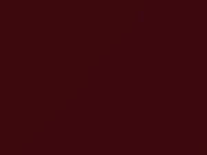 San Marino Red touch-up paint for Honda Civic Coupe, code R94, R94X, 2004