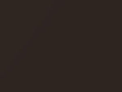 Sycamore Brown Metallic touch-up paint for Tesla, code E100E, PMAB, 2020