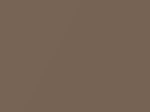 Brown Metallic touch-up paint for Nissan, code C61, 2008