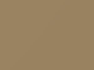 Volkswagen Safari touch up paint 7D 2019 Beetle